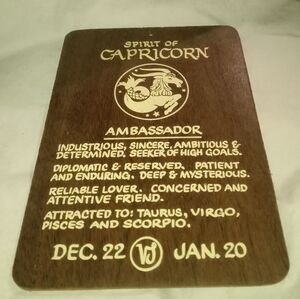 Spirit of Capricorn Wall Plaque